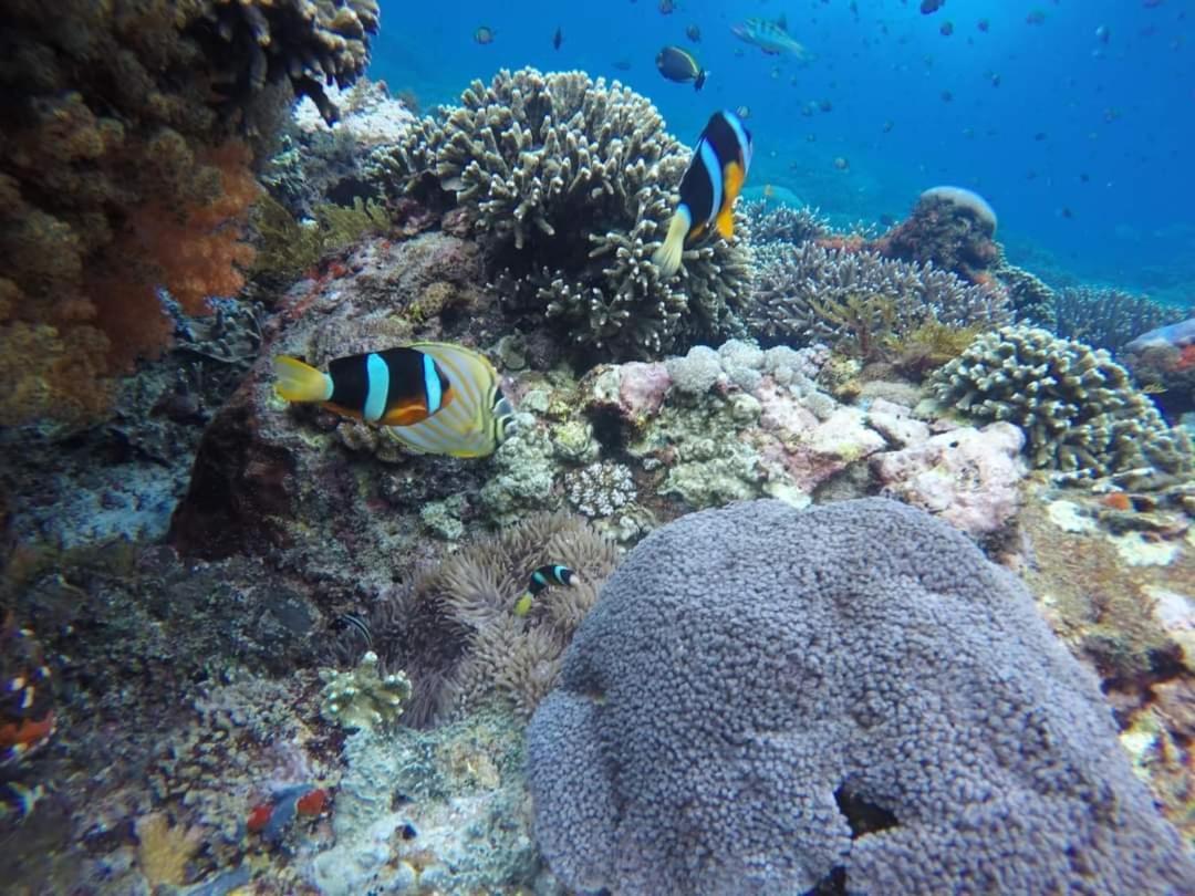 Allure Homestay Lembongan Dış mekan fotoğraf
